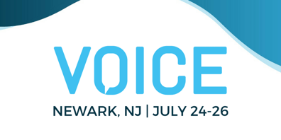 Voice Summit July 2018 image